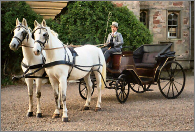Horse and Carriages