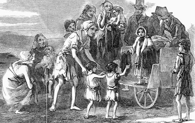 The Great Potato Famine starts in Ireland