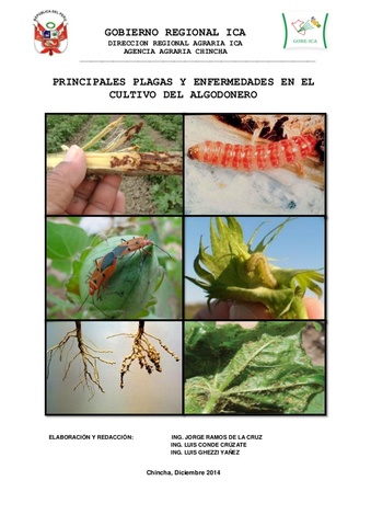 Carlos H. Marín y Hernán Alcaráz Viecco inician su trayectoria en IFA