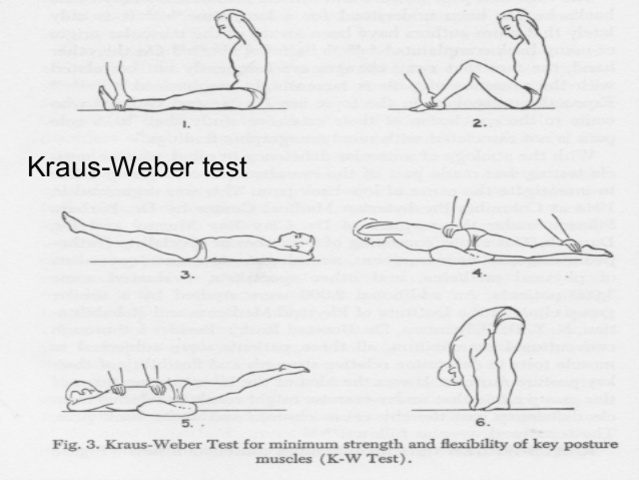 Kraus-Weber Minimal Muscular Fitness Test States American Children Are Less Fit Than European Children