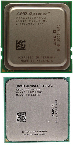 AMD OPETERON Y AMD ATHLON 64