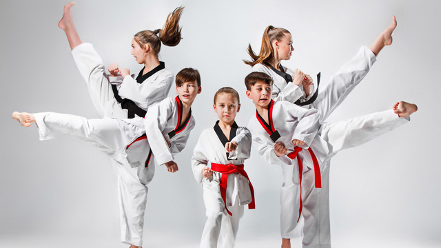 Martial Arts Team