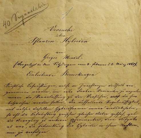 Versuche über Pflanzenhibriden