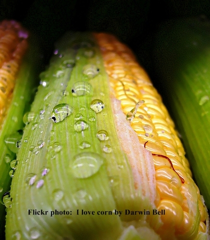 First Indications of Agriculture