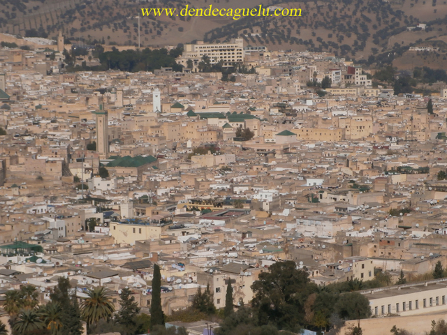 Fijación del territorio