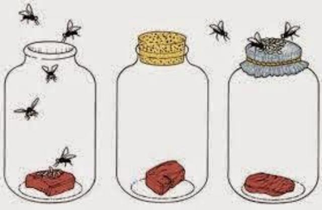 GENERACIÓ ESPONTÀNIA