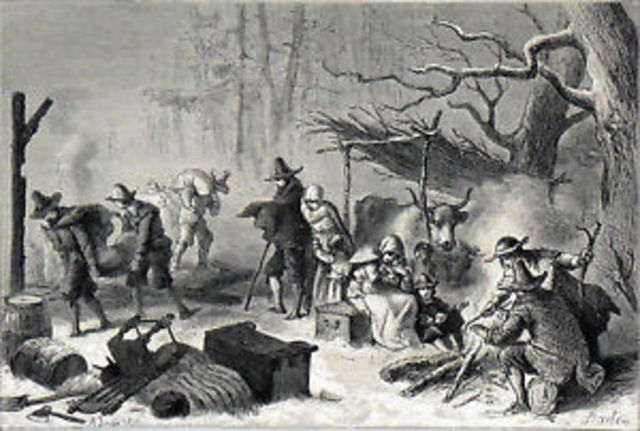 Une croissance fulgurante