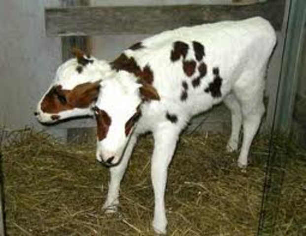 Power plant Shut down