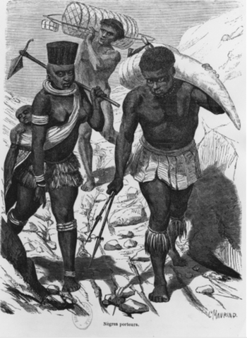 La vie politique des colons