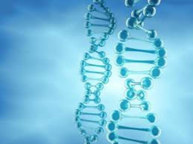 Francis H Cick y James watson