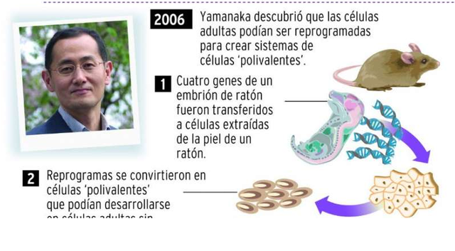 Shinya Yamanaka (1962)