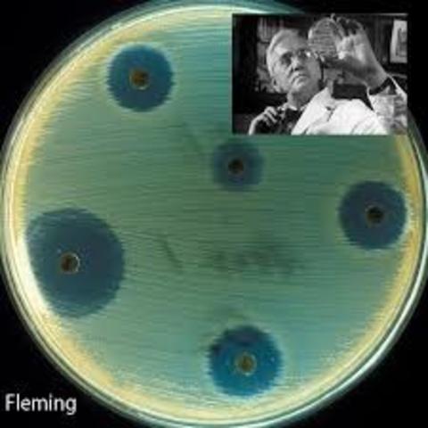 Alexander Fleming (1881_1955)