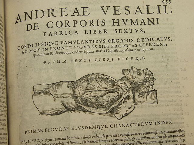 Andreas Vesalius