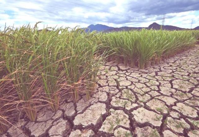 Escasez de recursos naturales.