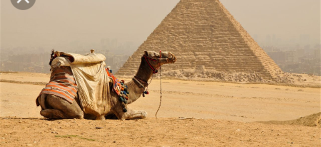 Egipto 4,000-2,000 a. C.