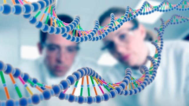 Informática molecular