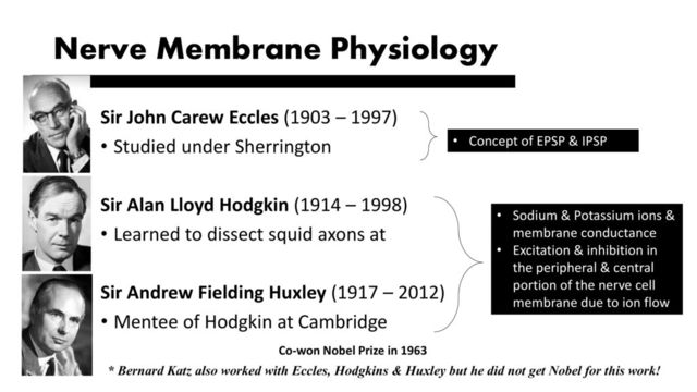 John Carew Eccles, Alan Lloyd Hodgkin, Andrew Fielding Huxley