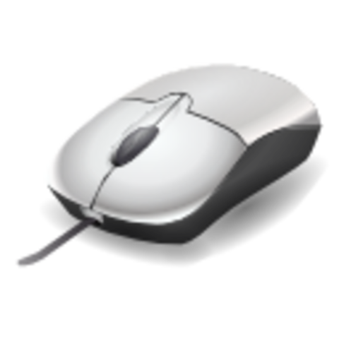 RATON O MOUSE (ENTRADA)