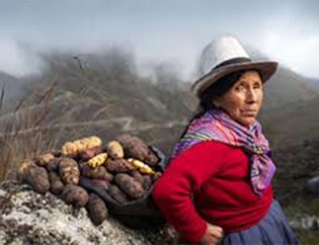 Reformas Agrarias y Desarrollo Rural y Campesino