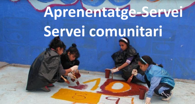 APRENENTATGE SERVEI - ApS