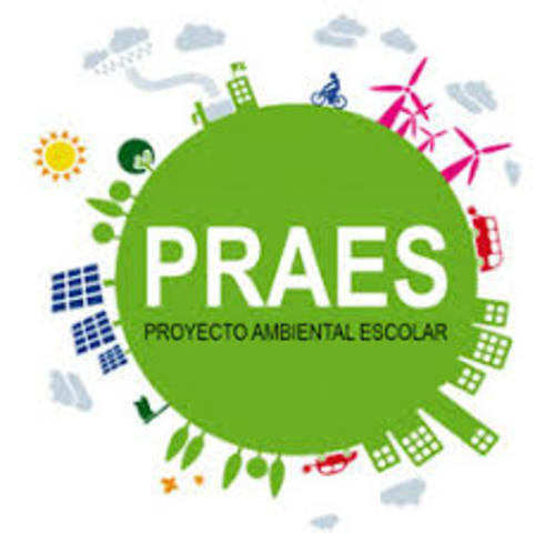 se Reglamenta Proyecto Escolar de Educación Ambiental (PRAE)