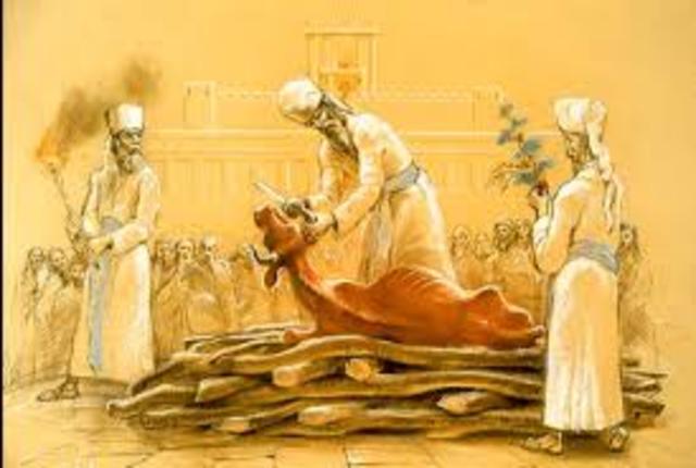 Normativa en sacrificios para los animales.