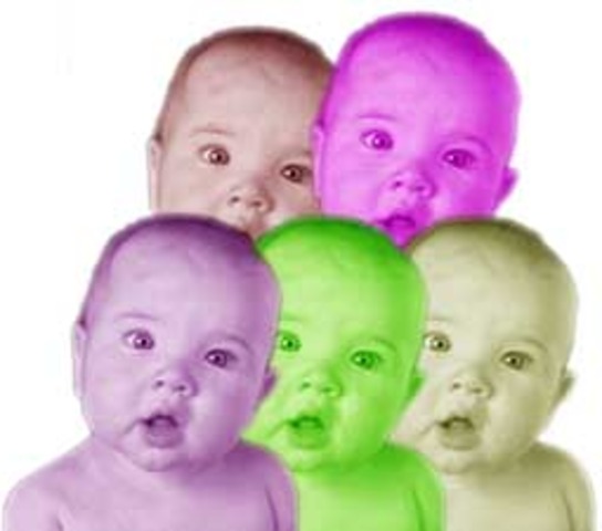 Se prohibe la clonación de seres humanos