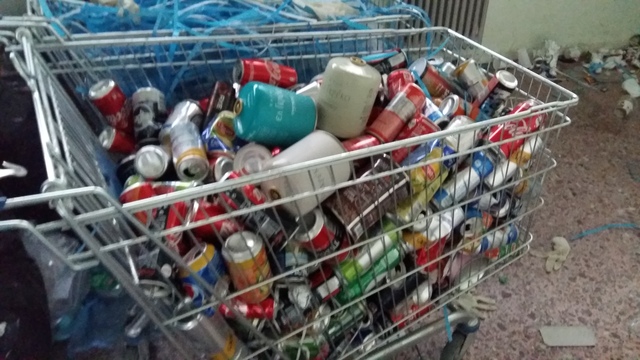 Δράση των μαθητών του Προγράμματος "Οικολογικά Σχολεία"