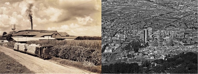 Segunda Mitad del Siglo XX