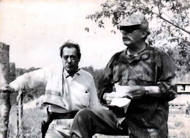 FARC; Crisis del movimiento.