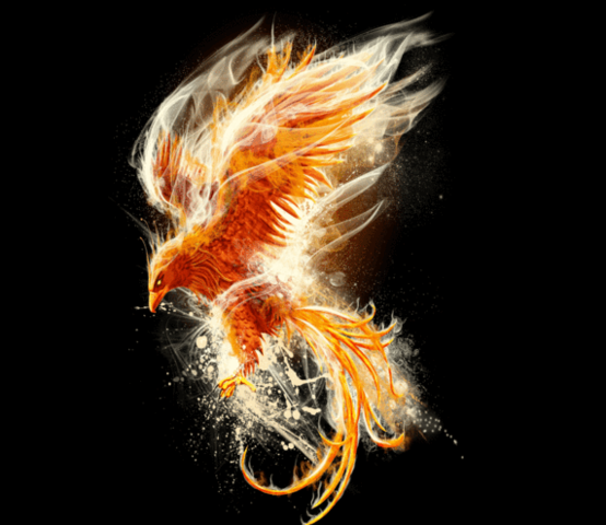 Második (újjá)születés