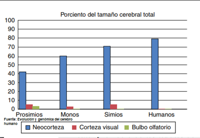 Cerebro en 5000 años
