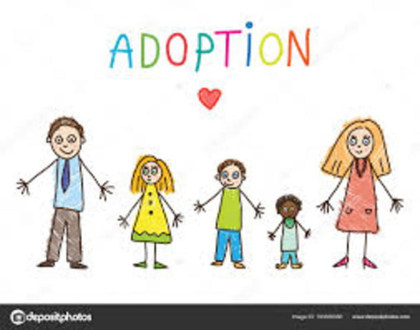 LA FAMILIA LEY 16.346