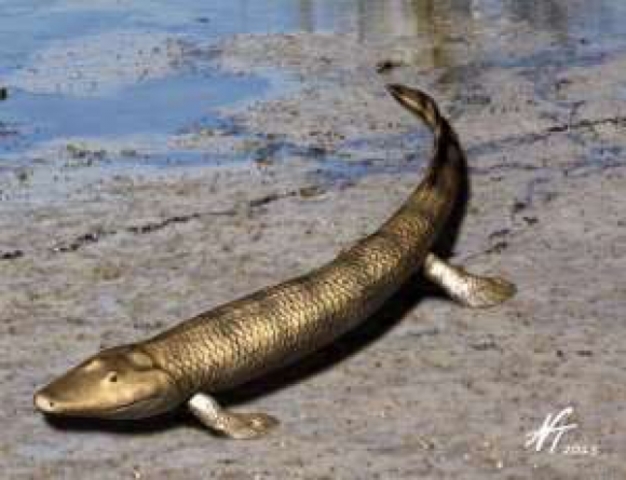 ¿Cuándo surgió el sistema nervioso? ¿En qué organismos