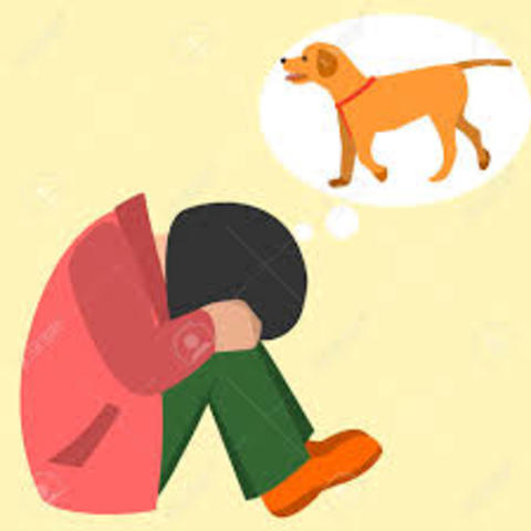 fallecimiento de mi mascota