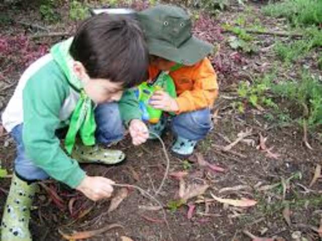 EXPLORACIÓN DEL MEDIO