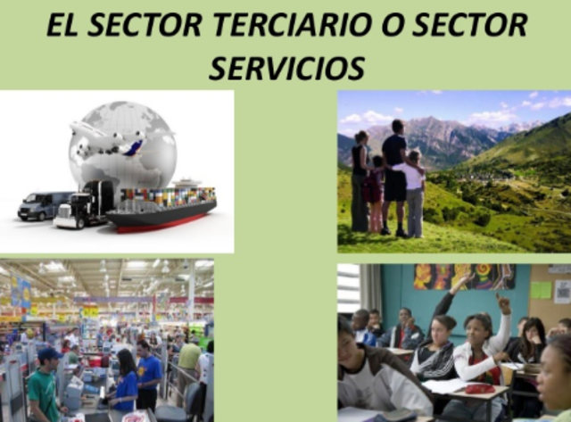 Sector Terciario
