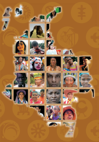 Año Internacional de los Afrodecendientes