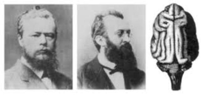 GUSTAV FRITSCH 1870 - 1927