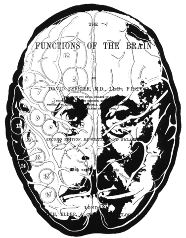 DAVID FERRIER 1843 - 1928