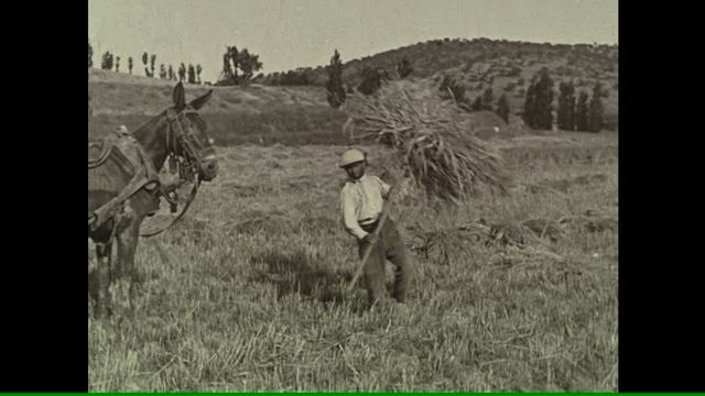 Producción agrícola.