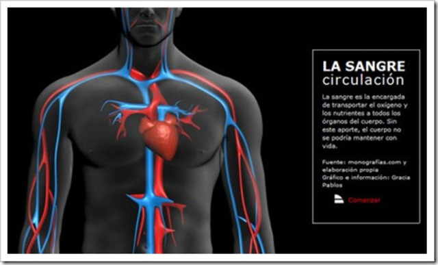 LA TEORIA DE LA CIRCULACIÓ DE LA SANG