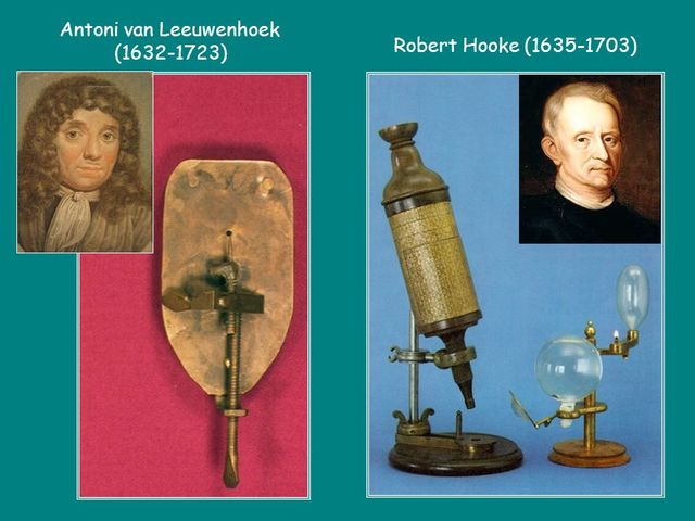 EL DEMOSTRAMENT DE L'EXISTENCIA DE MICROORGANISMES