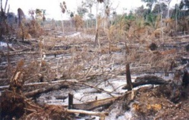 Depredacion De La Tierra