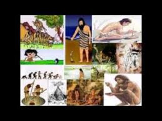 SIGLOS XIV Y XV FEUDALISMO