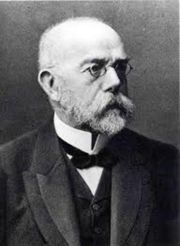 Robert Koch (1881)