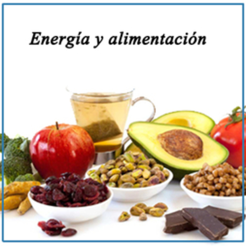 se identifican los inicios de los cambios fundamentales en la alimentación mundial, debido a los estudios científicos sobre energía y proteínas y el descubrimiento de las vitaminas