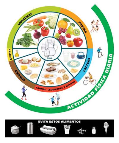 Primeras guías de alimentación a nivel internacional