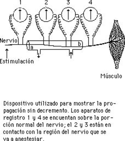 Hermann von Helmholtz