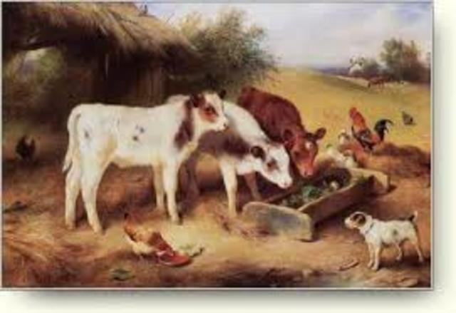 Aprendizaje en la domesticación de animales y cuidados de los animales